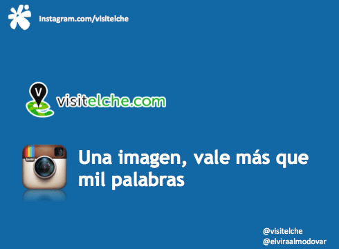 Instagram visitelche