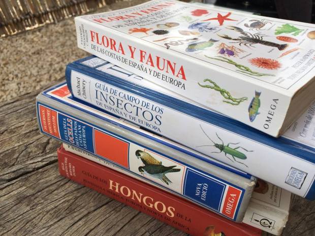 Material didático para la visita. © Elvira Almodóvar