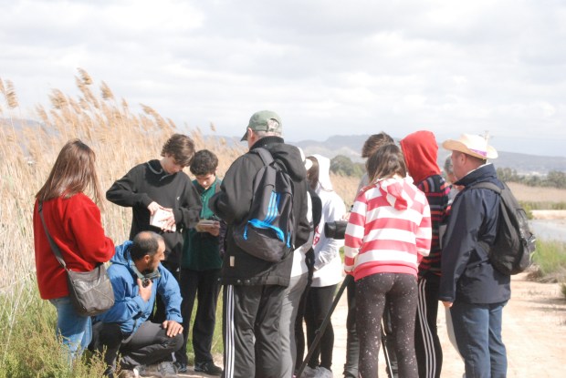 © Elvira Almodóvar