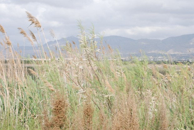 © Elvira Almodóvar