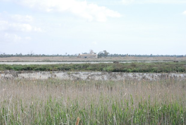 © Elvira Almodóvar