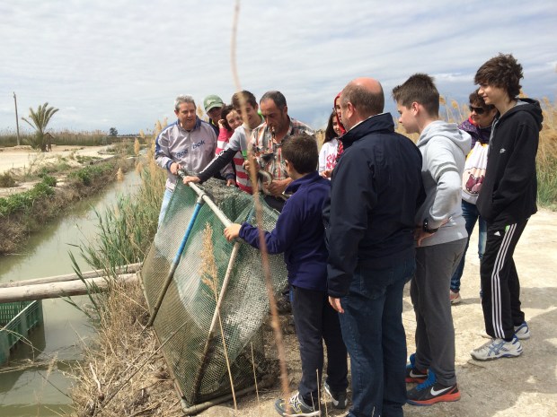 © Elvira Almodóvar