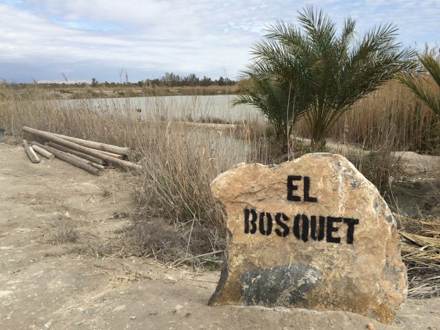 © Elvira Almodóvar