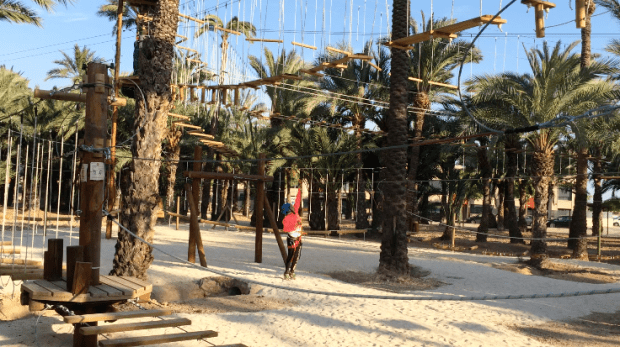 © Elvira Almodóvar