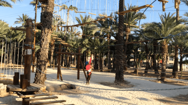 © Elvira Almodóvar