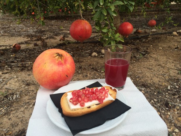 Foto Elvira Almodóvar