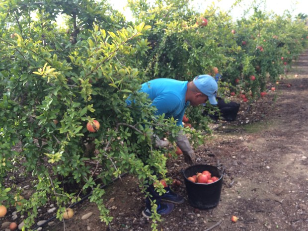 Foto Elvira Almodóvar