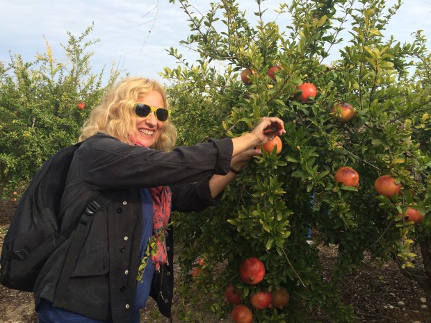 Foto Elvira Almodóvar