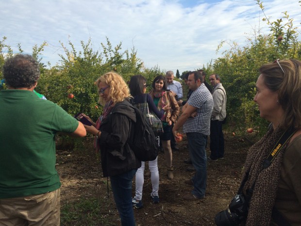 Foto Elvira Almodóvar