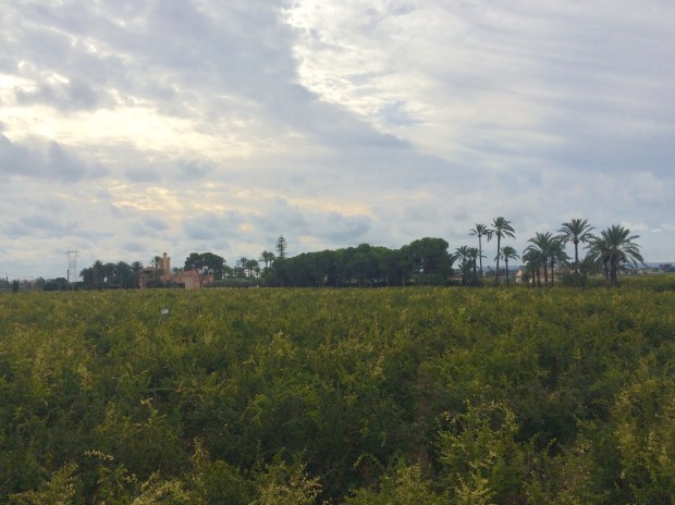 Foto: Elvira Almodóvar