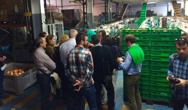 Foto Elvira Almodóvar