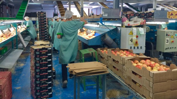 Foto Elvira Almodóvar