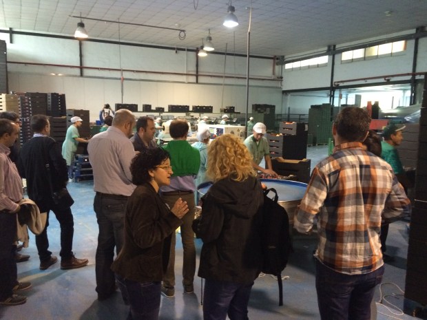 Foto Elvira Almodóvar