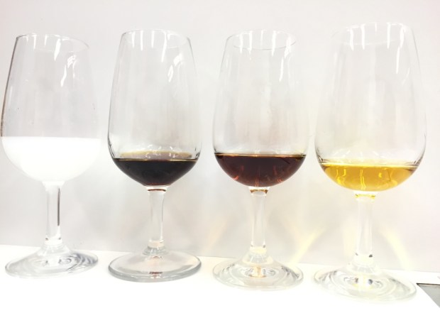 I Fireta de Bebidas Espirituosas de la Provincia de Alicante (c) elviraalmodovar_IMG_7512_1024 2