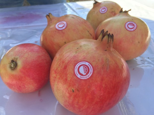 ii-blogtrip-granada-mollar-elche-c-elviraalmodovar_img_1046_1024