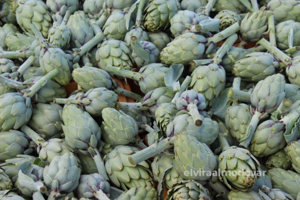 Blog Trip Alcachofa Vega Baja 2017 (c) elviraalmodovar alcachofas.jpg
