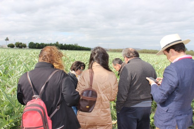 Blog Trip Alcachofa Vega Baja 2017 (c) elviraalmodovar_IMG_7270_1024.jpg