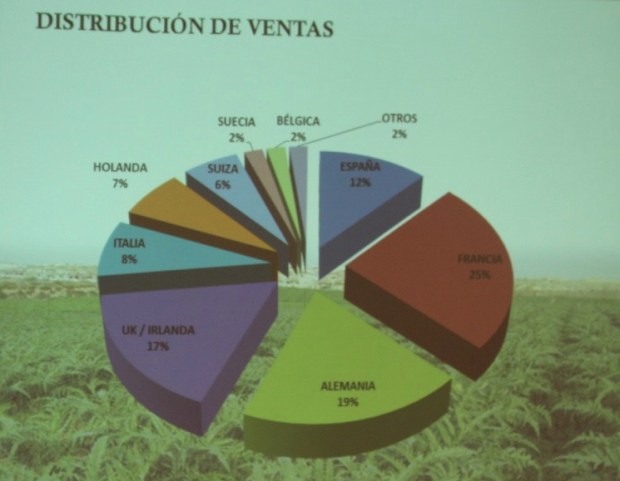 Blog Trip Alcachofa Vega Baja 2017 (c) elviraalmodovar_IMG_7425_1024